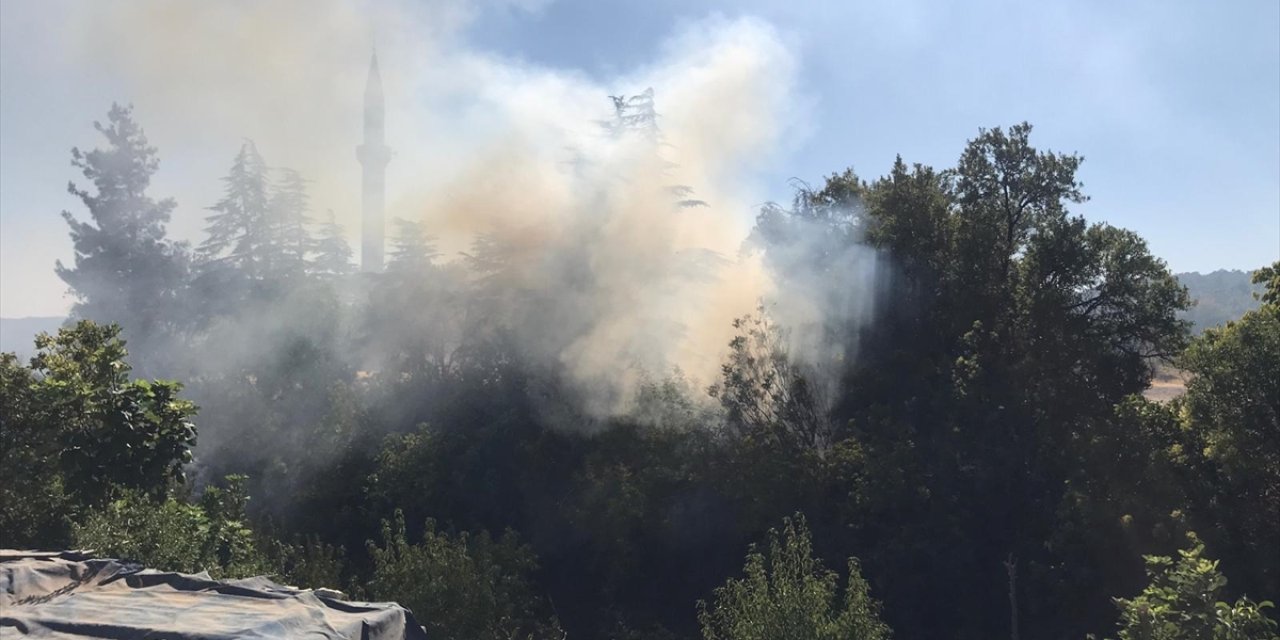 Mersin Gülnar'da ağaçlık alanda çıkan yangın kontrol altında