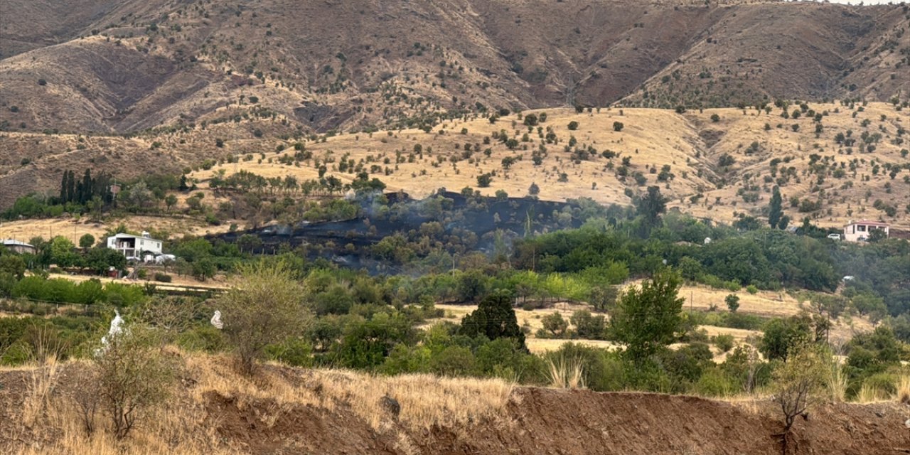 Elazığ’da çıkan yangında 150 dönüm tarım arazisi zarar gördü