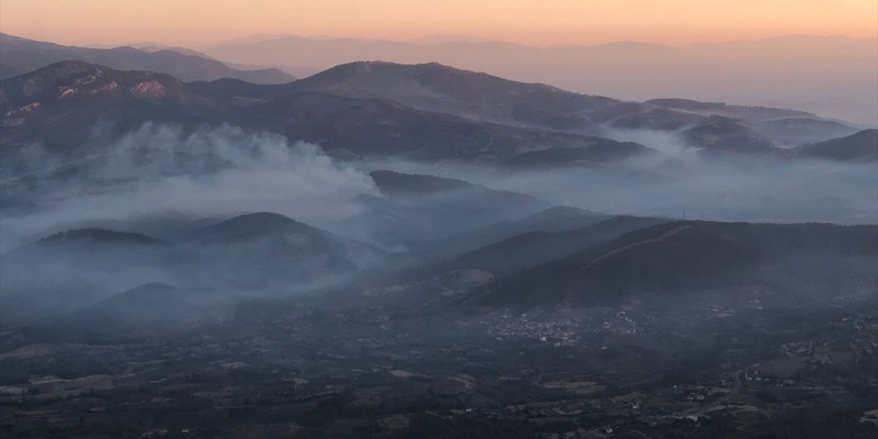 Aydın'ın Bozdoğan ilçesindeki orman yangınına müdahale sürüyor