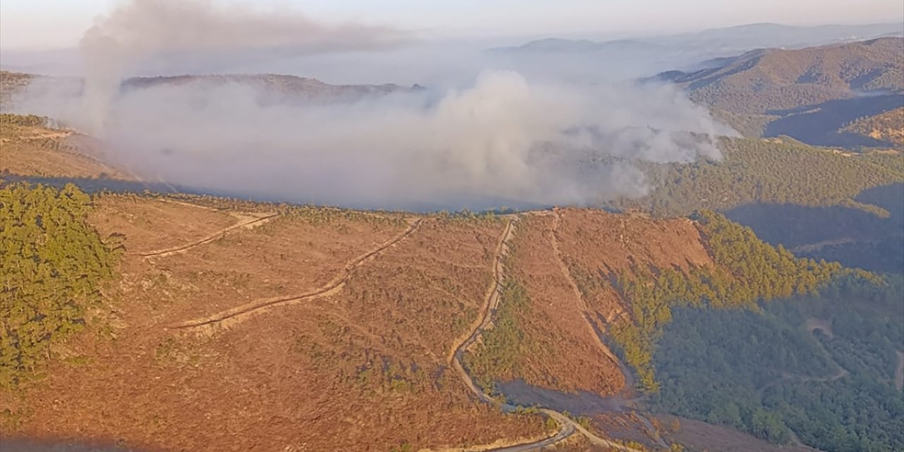 Manisa'daki orman yangınlarına müdahale sürüyor