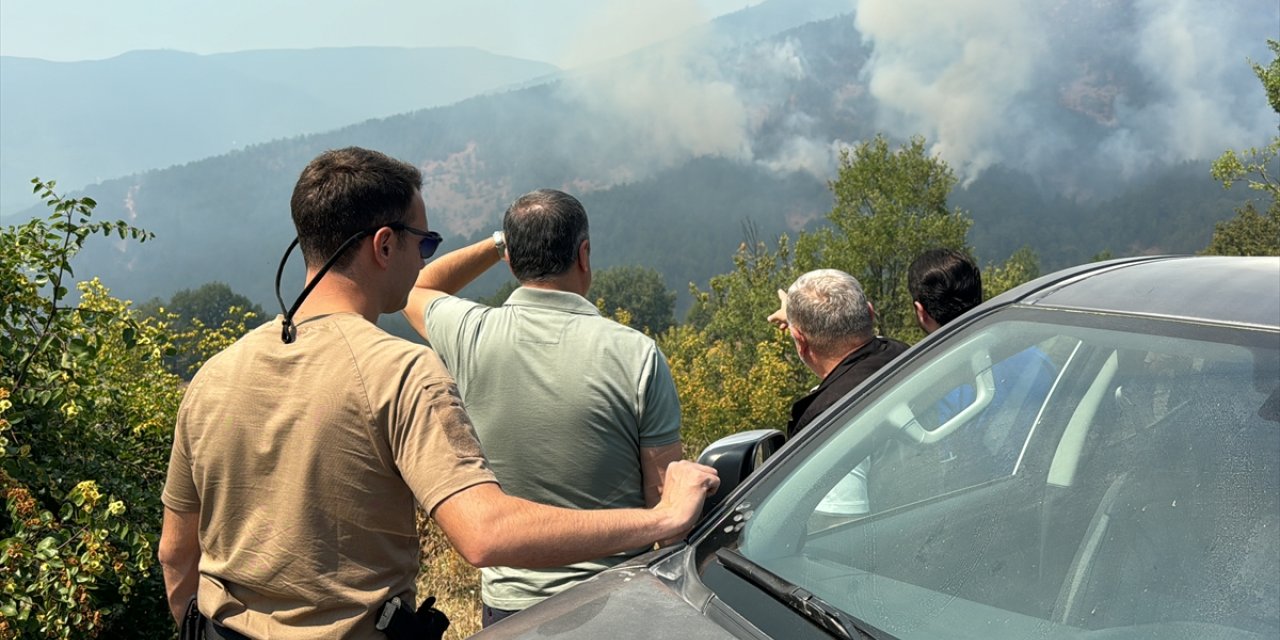 Karabük Valisi Yavuz, orman yangını çıkan bölgede incelemelerde bulundu