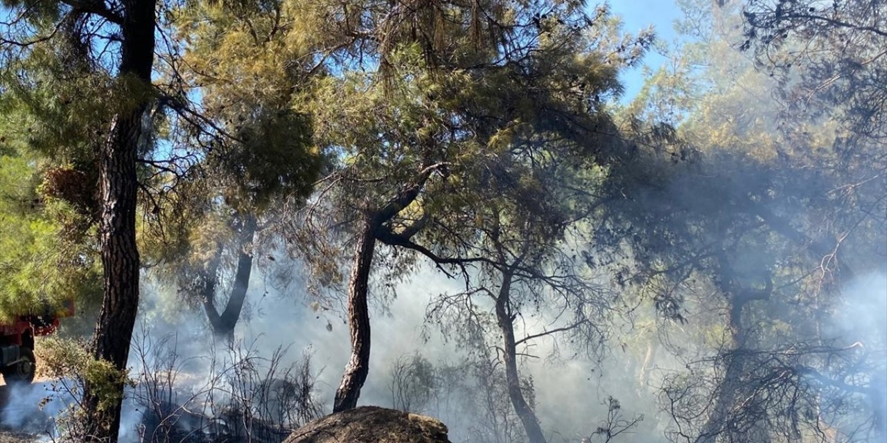 Antalya'da çıkan orman yangını söndürüldü