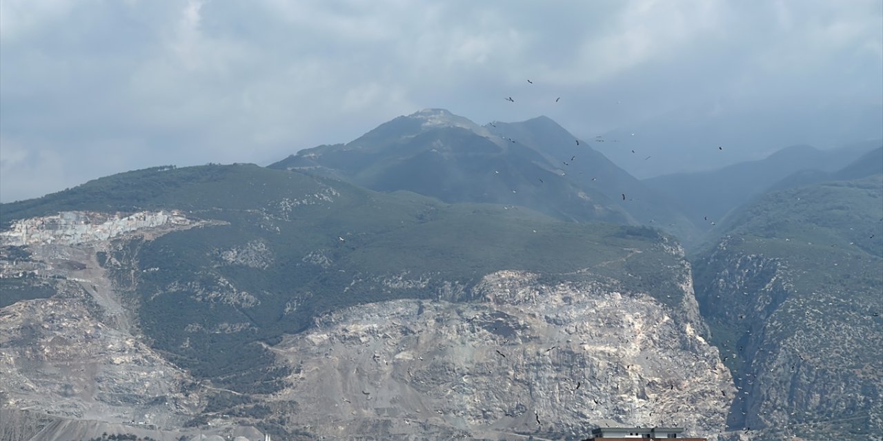 Hatay'da binlerce leyleğin göç uçuşunu vatandaşlar merakla izledi