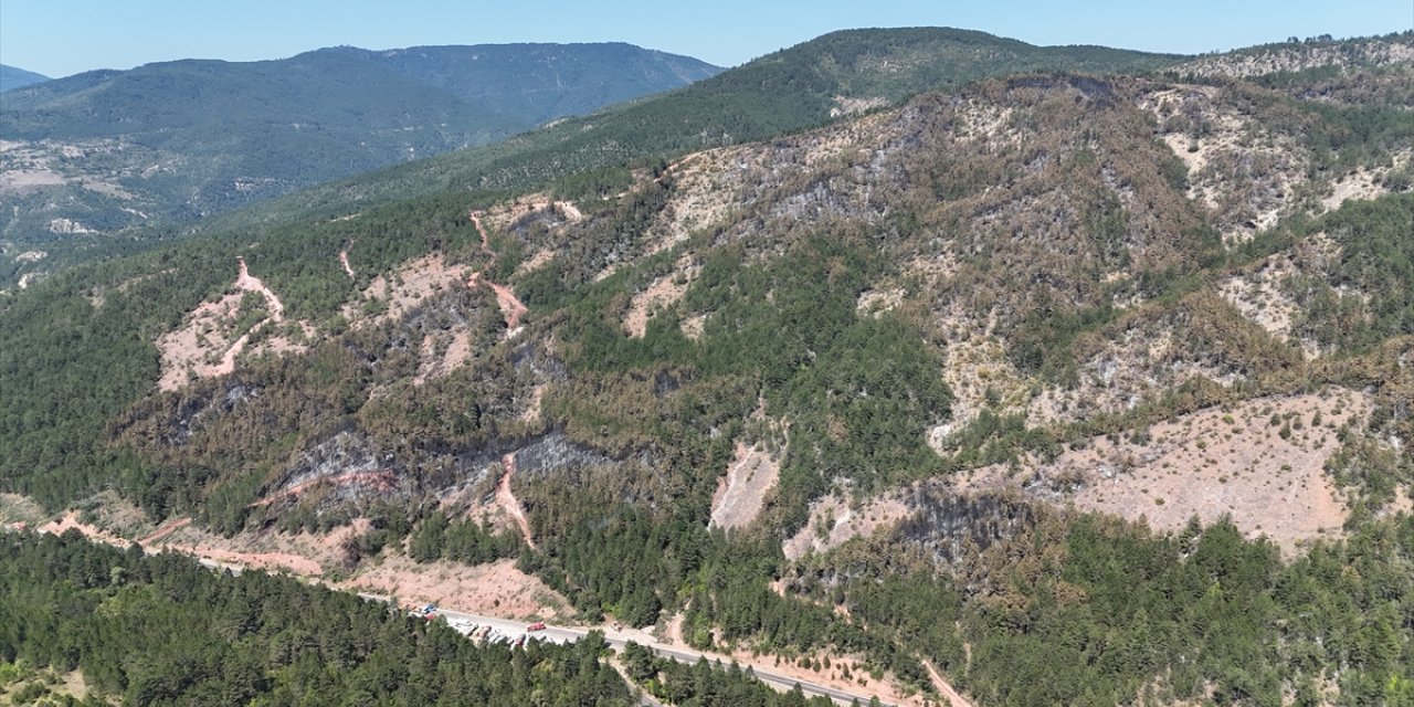 Karabük'te orman yangınında zarar gören alanlar havadan görüntülendi