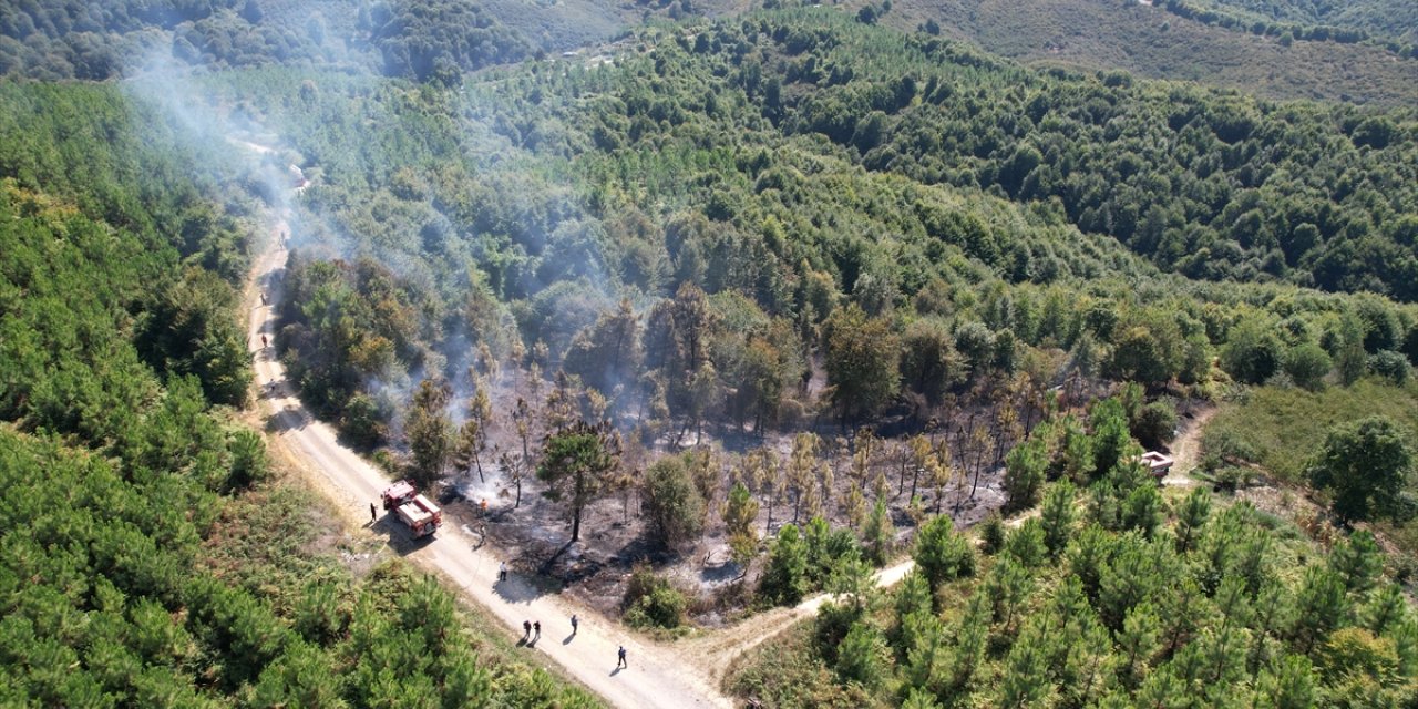 Sakarya'da ormanlık alana sıçrayan yangın kontrol altına alındı