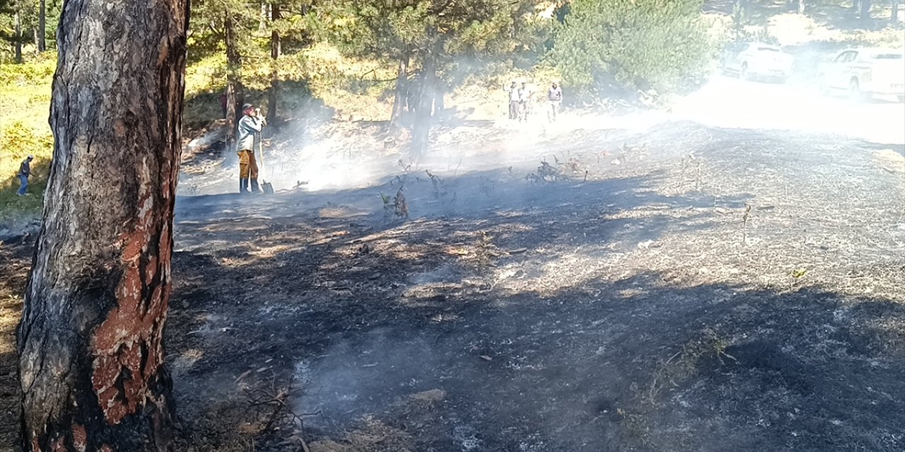 Bilecik'te çıkan orman yangını söndürüldü