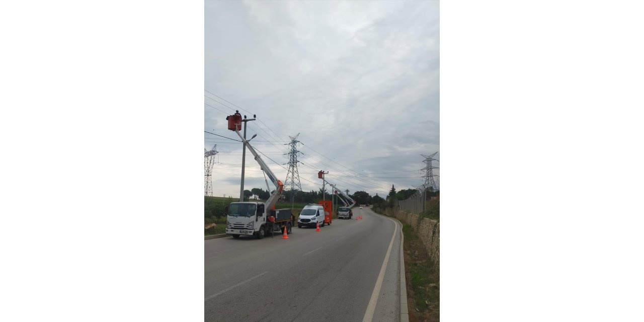 SEDAŞ, leyleklerin güvenli yolculuğu için Kocaeli'de harekete geçti