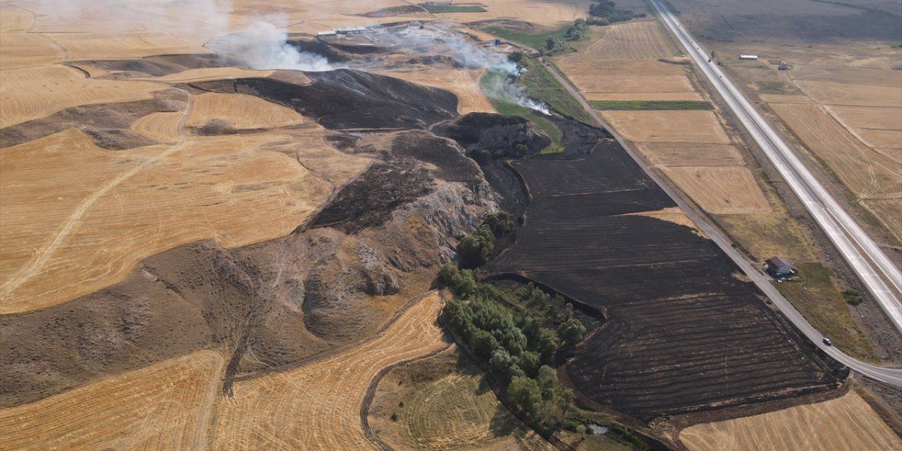 Sivas'ta çıkan yangında 40 dönümlük buğday tarlası zarar gördü