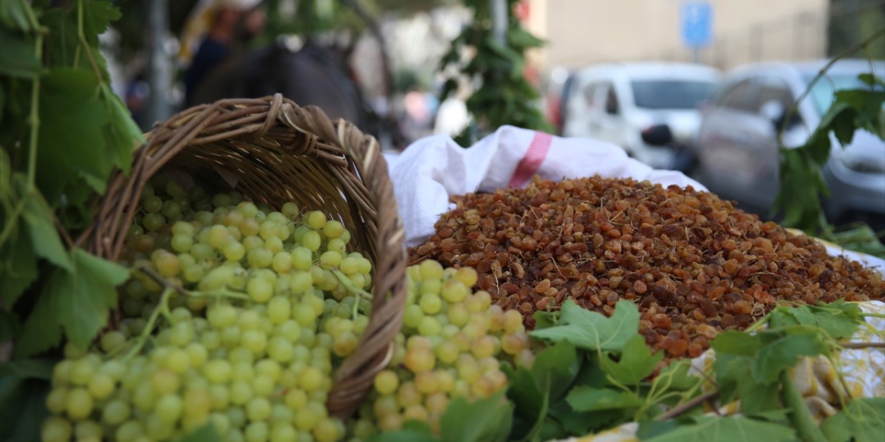 Manisa'da sezonun ilk çekirdeksiz kuru üzüm alımı törenle başladı