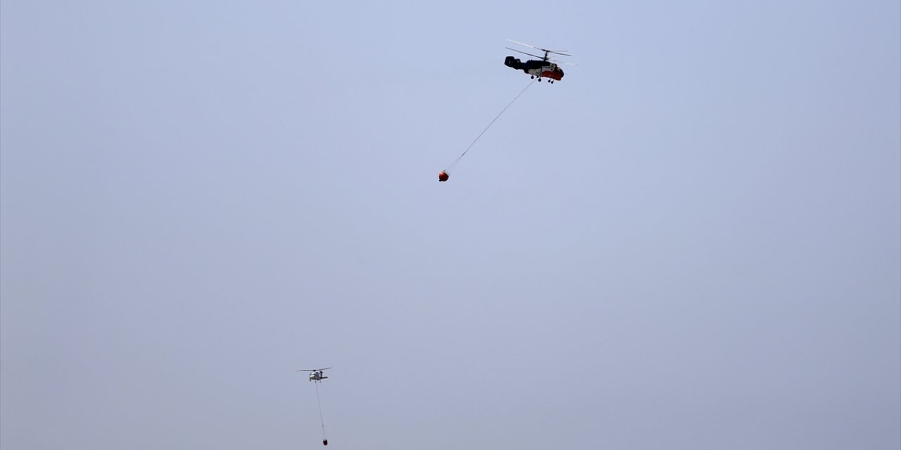 Fethiye'de ormanlık alanda çıkan söndürüldü