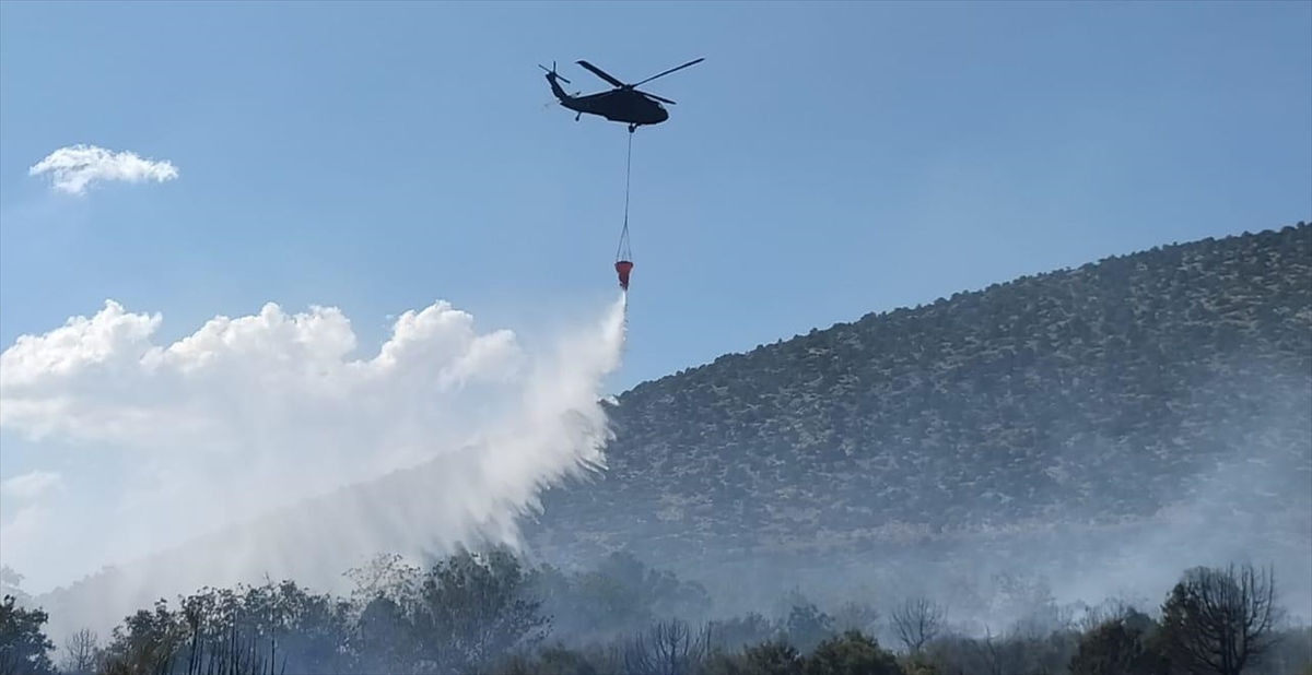 Isparta'da çıkan orman yangınına müdahale ediliyor