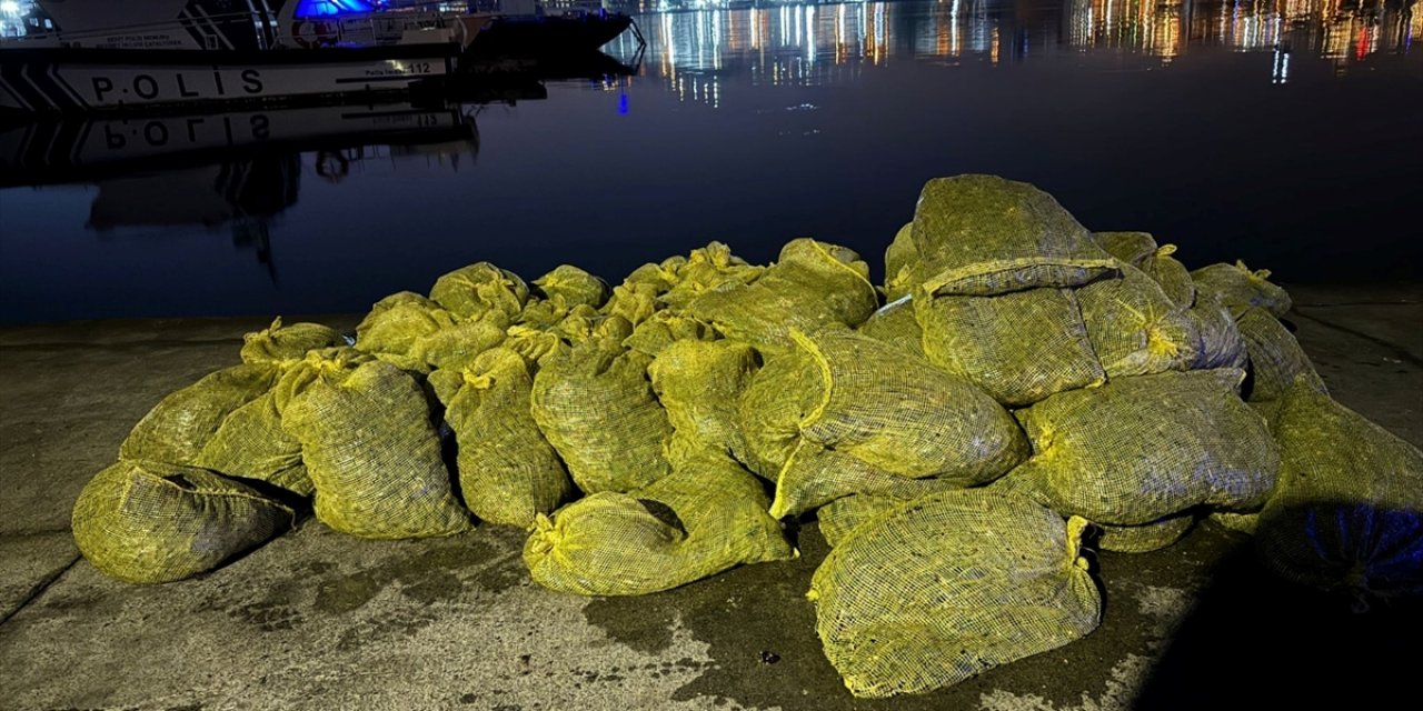 Beyoğlu'nda 2 ton kaçak midye ele geçirildi