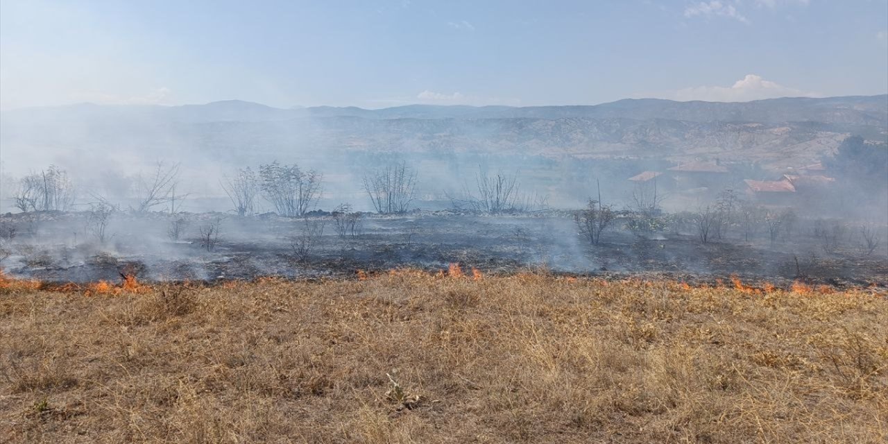 Kastamonu'da anız yangını köye ve ormanlık alana sıçramadan kontrol altına alındı