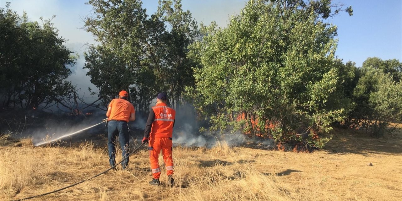 Bingöl'de çıkan orman ve örtü yangınları söndürüldü