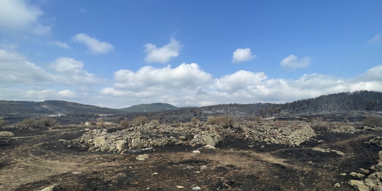 Bolu'da kontrol altına alınan yangında soğutma çalışması sürüyor