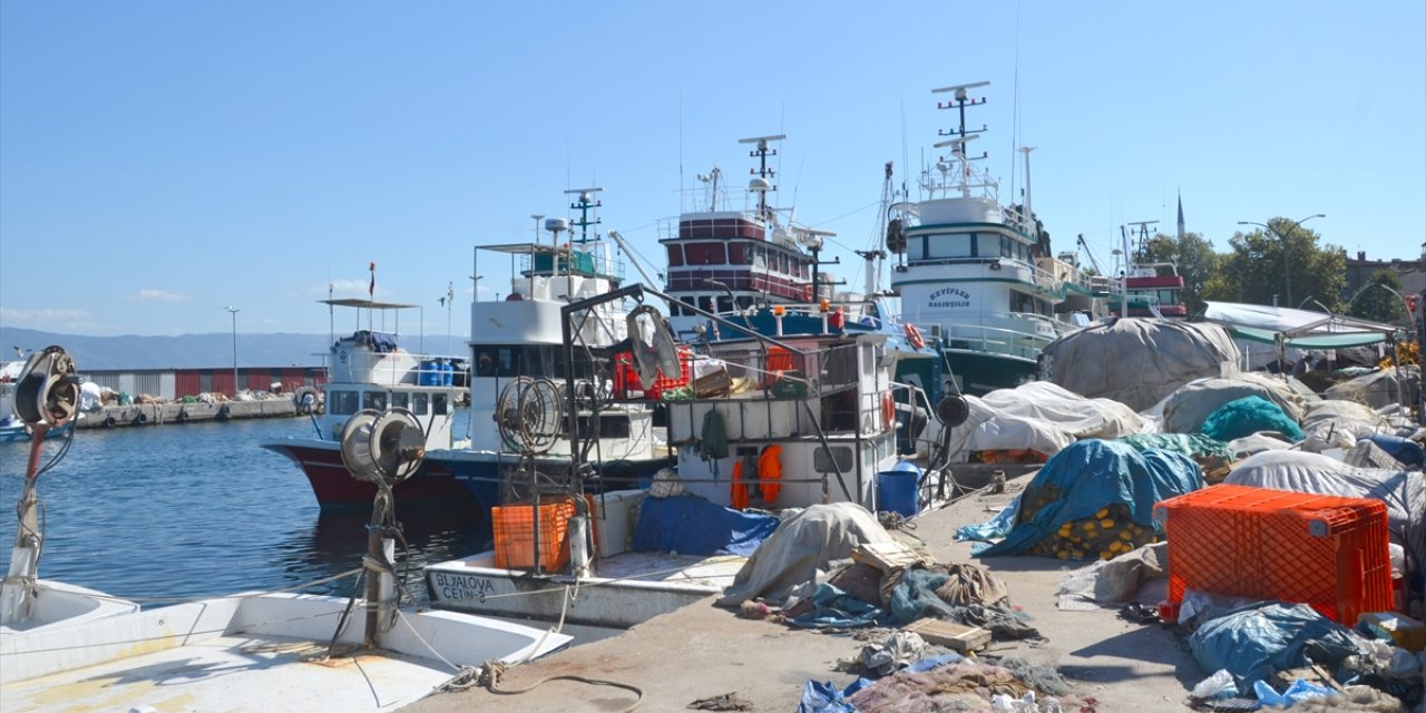 Sakarya ve Kocaeli'de balıkçılar yeni sezonda palamutta bolluk bekliyor