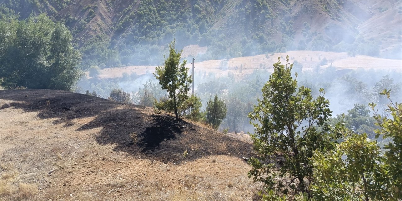 Tunceli'de ormanlık alanda çıkan yangına müdahale ediliyor