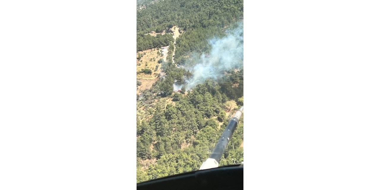 İzmir Kemalpaşa'da çıkan orman yangını kontrol altına alındı