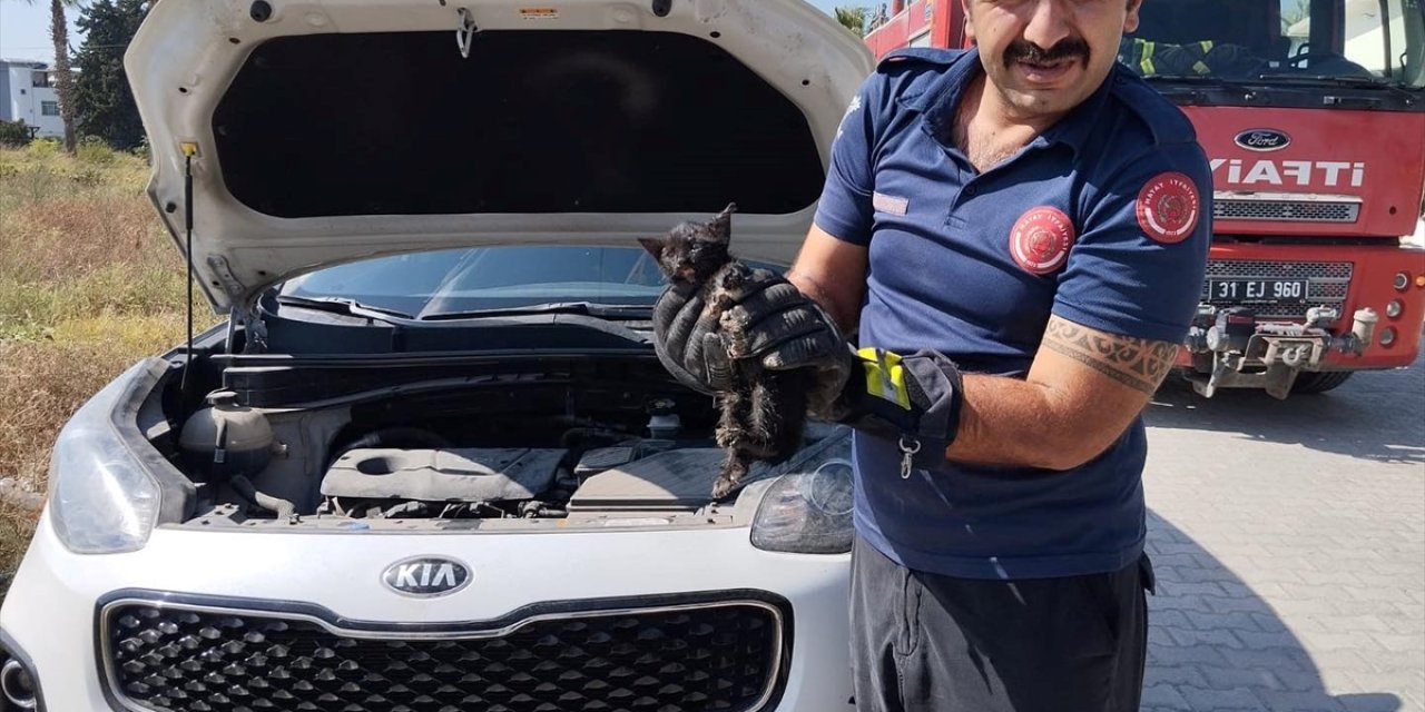 Hatay'da cipin motor kısmına sıkışan kedi yavrusunu itfaiye kurtardı