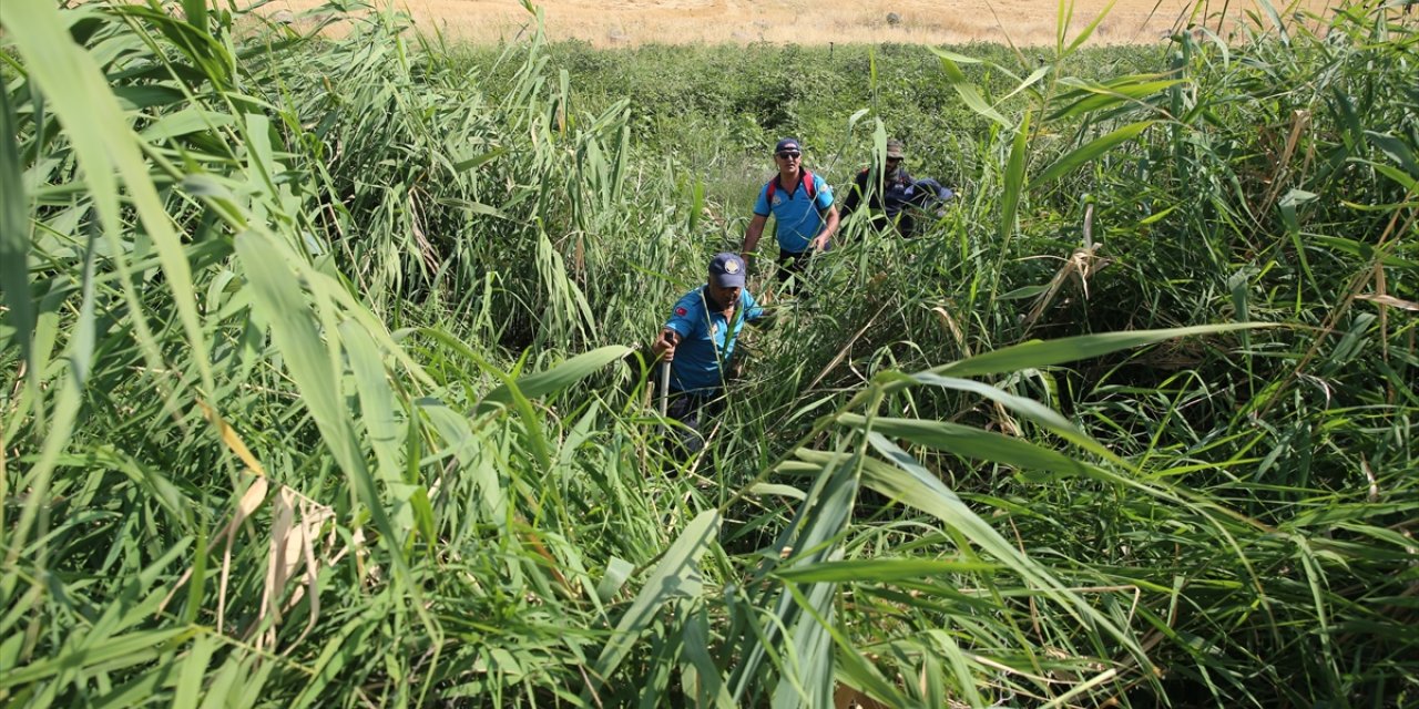 Diyarbakır'da kaybolan 8 yaşındaki Narin'i arama çalışmaları sürüyor