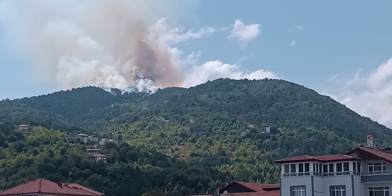 Zonguldak'ta ormanlık alanda çıkan yangın kontrol altına alındı