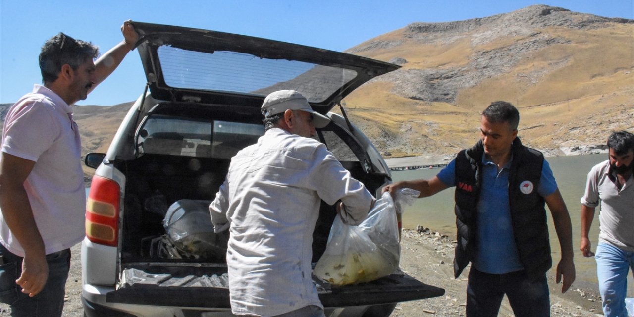 Van'da su kaynaklarına 400 bin sazan yavrusu bırakıldı