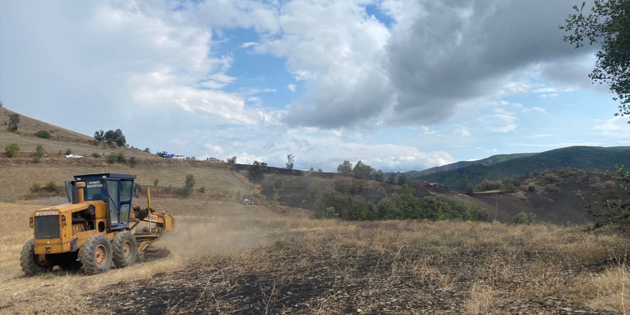 Tokat'ta çıkan orman ve anız yangınında yaklaşık 19 dönümlük alan zarar gördü