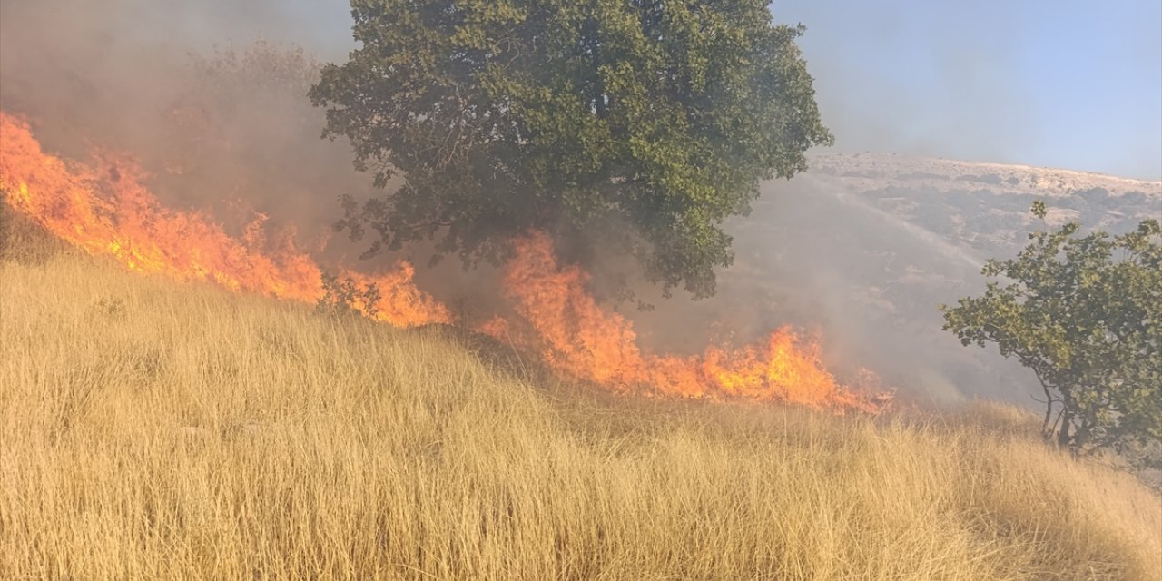 Tunceli'de otluk alanda çıkan yangın söndürüldü