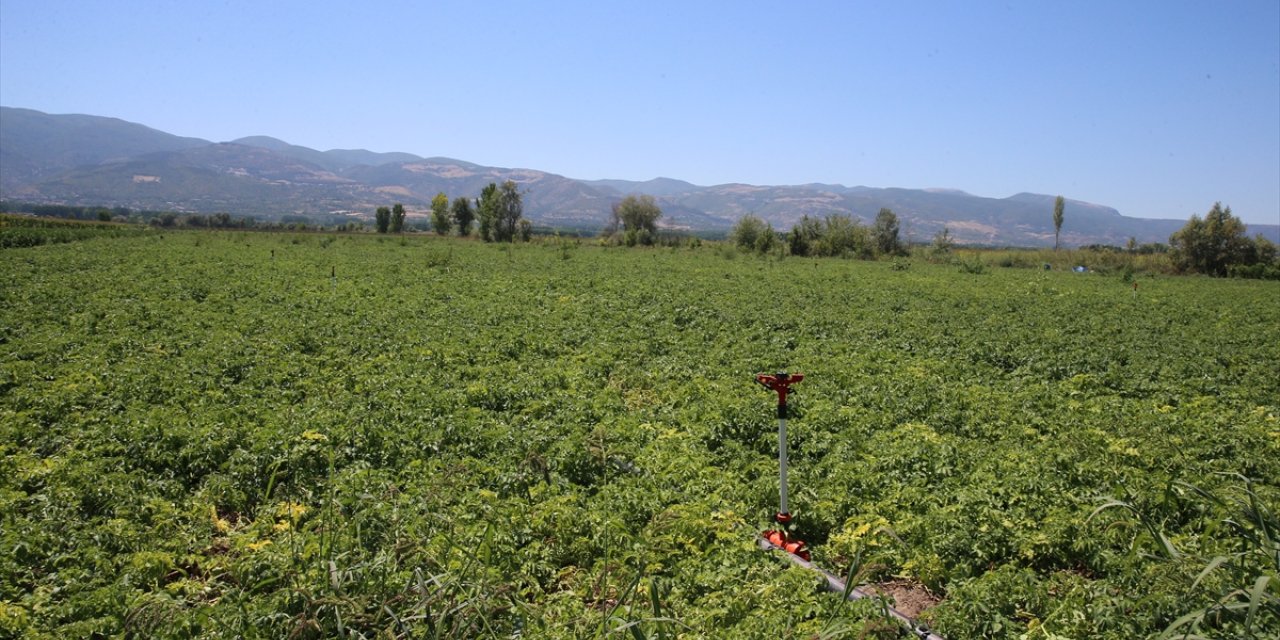 Tokat'ta yaşayan çiftçi, yılda 500 tonun üzerinde patates tohumu üretiyor