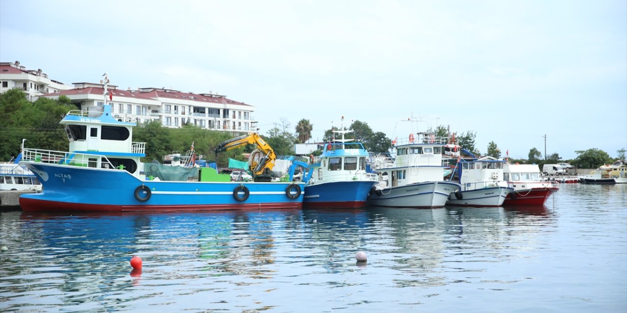 Karadenizli balıkçılar yeni sezonda palamuttan umutlu