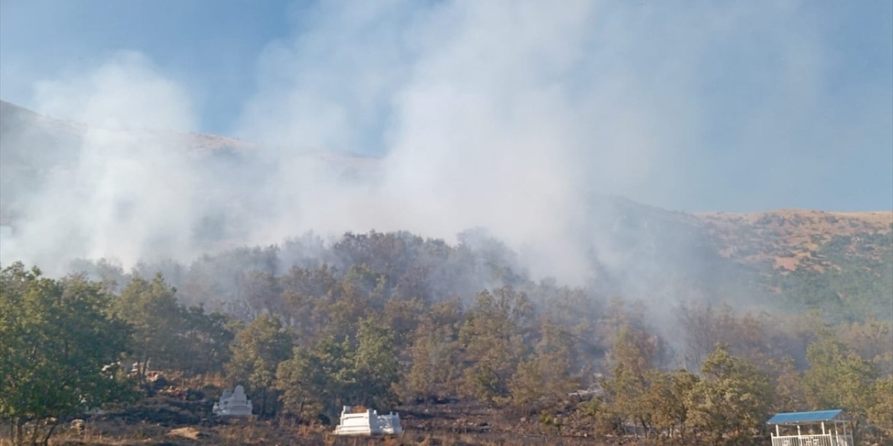 Tunceli'de ormanlık alanda çıkan yangına müdahale ediliyor