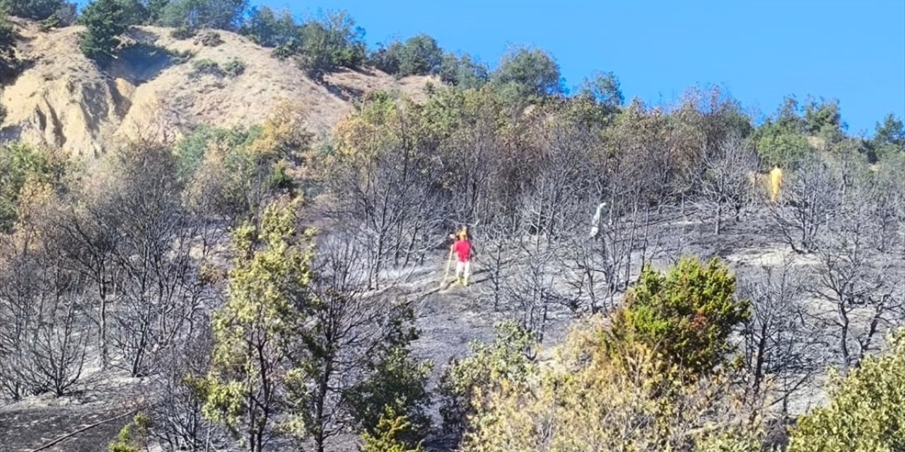 Amasya'da çıkan orman yangını söndürüldü