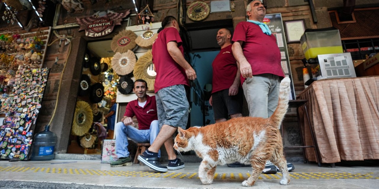 Garfield'a benzerliğiyle dikkati çeken Tarçın, 17 yıldır tarihi hanı mesken tutuyor