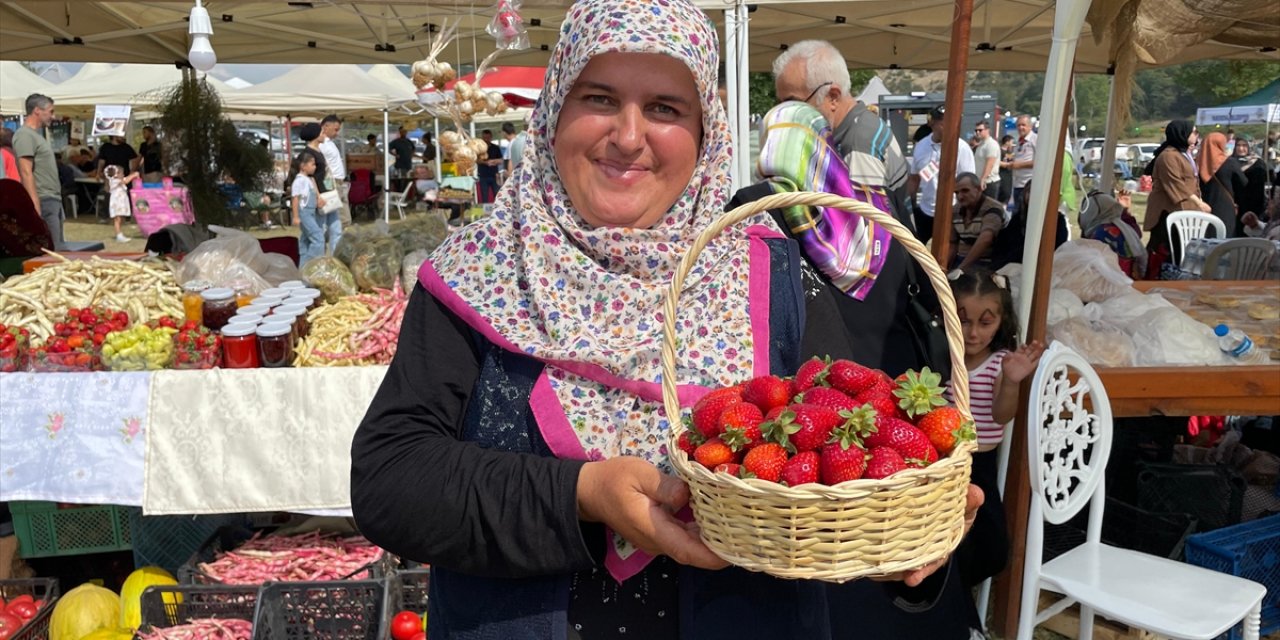 Sakarya'da Çilek Festivali düzenlendi