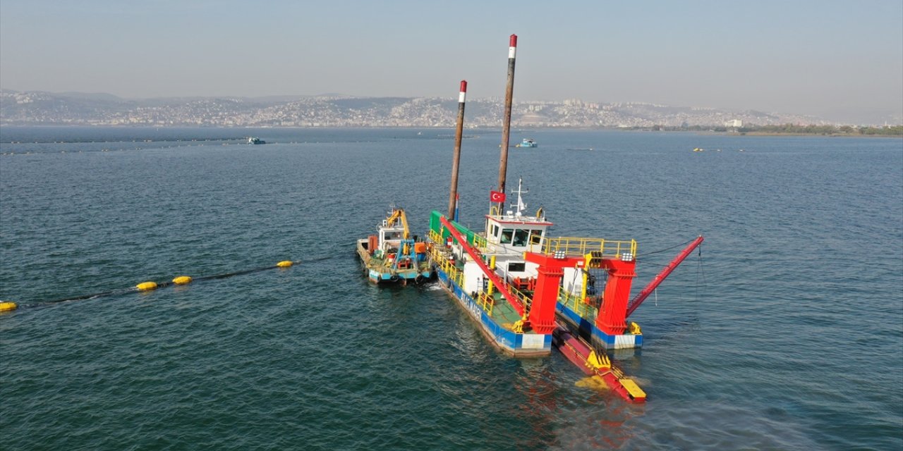 İzmit Körfezi'ne yapılan çevre yatırımlarıyla kirlilik azaldı, balık popülasyonu ve biyoçeşitlilik arttı