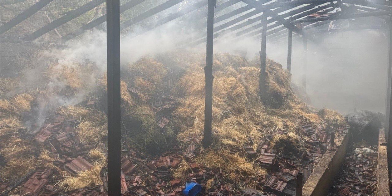 Isparta'da besihanede çıkan yangında 5 kişi yaralandı, 3 hayvan telef oldu