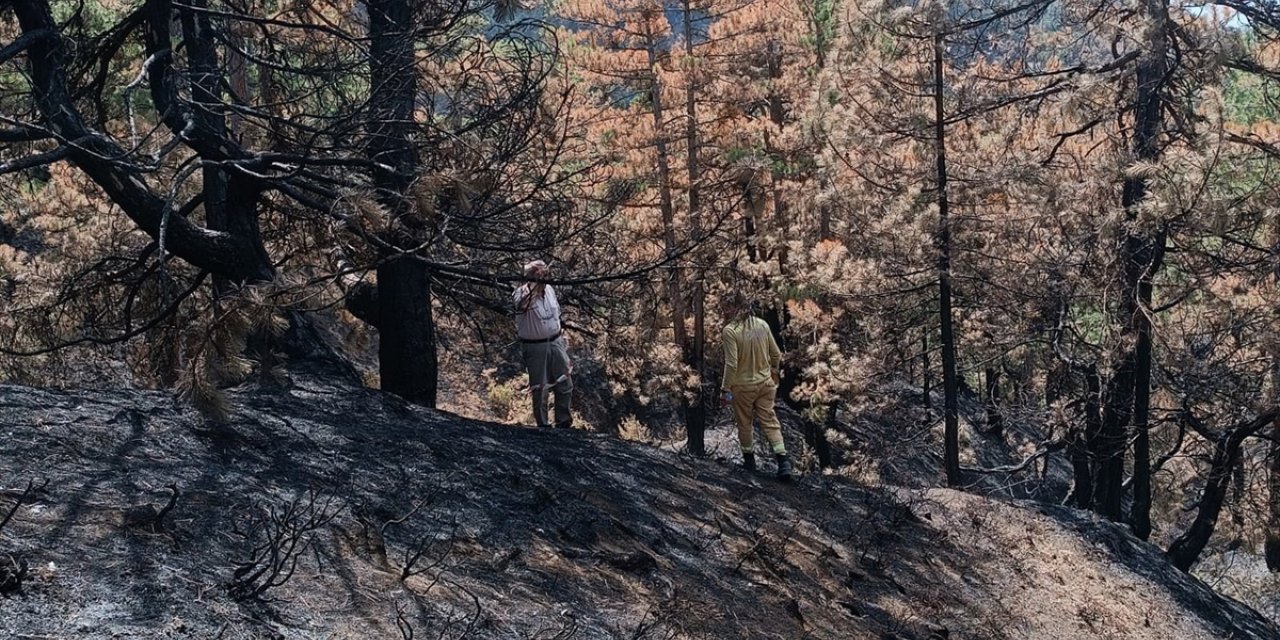 Bolu Göynük'te yanan orman alanlarında çalışma başlatıldı