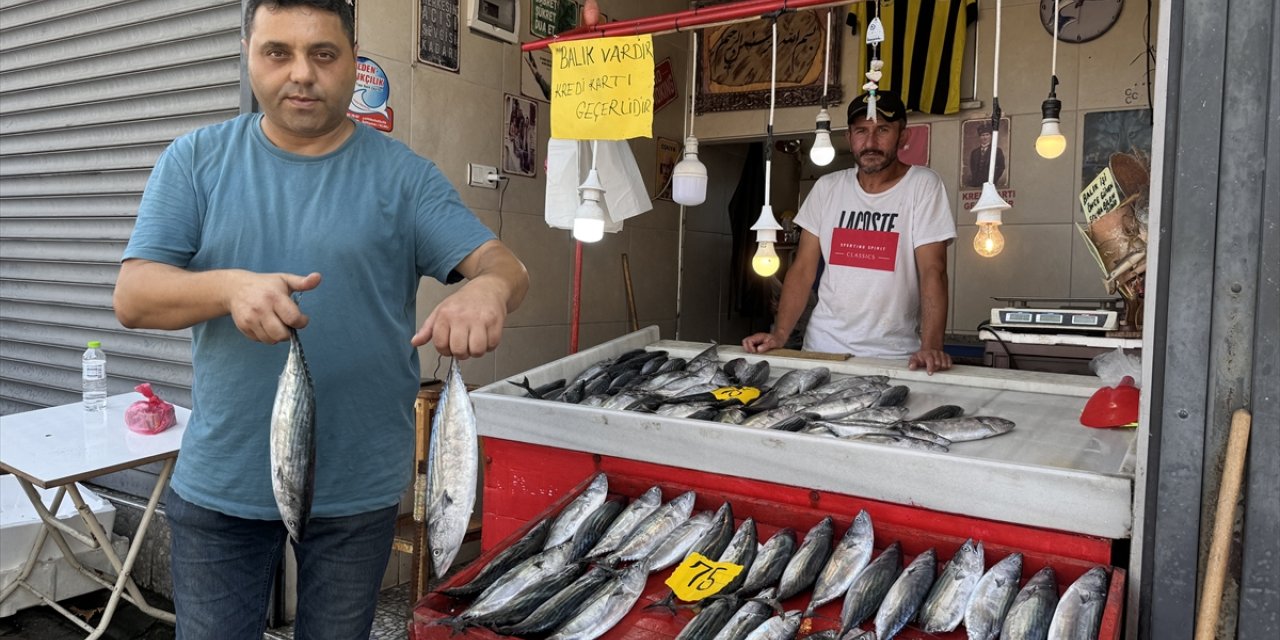 Zonguldak'ta deniz av sezonu palamut bereketiyle başladı