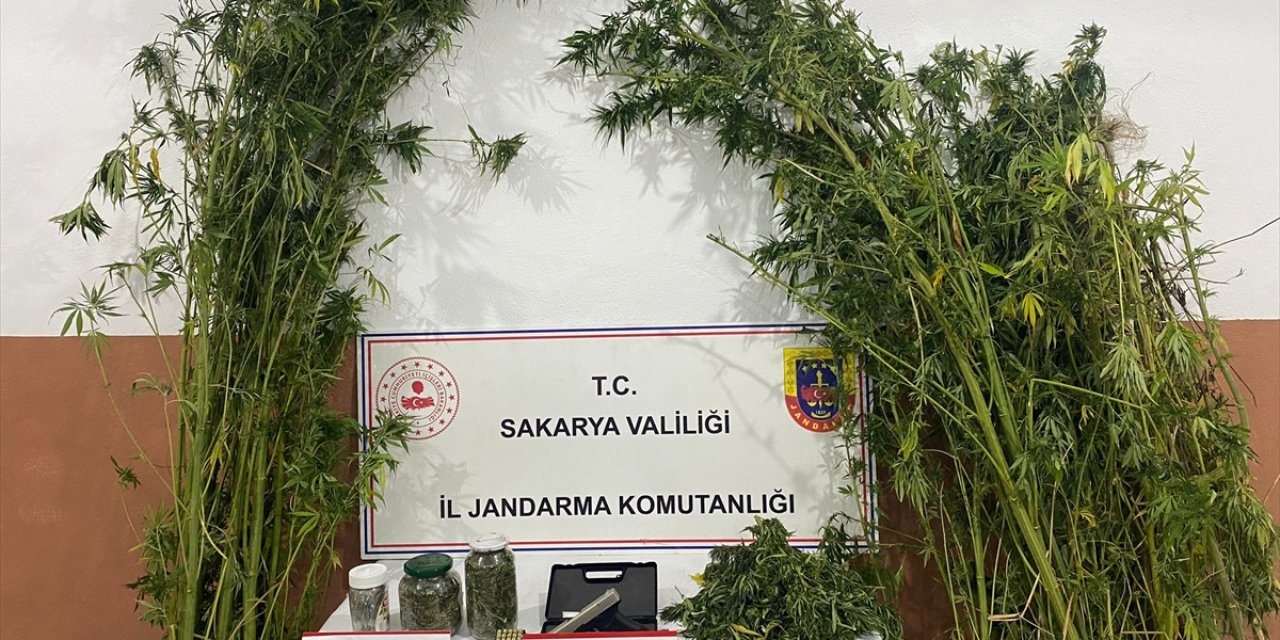 Sakarya'da uyuşturucu operasyonlarında yakalanan 3 zanlıdan 1'i tutuklandı