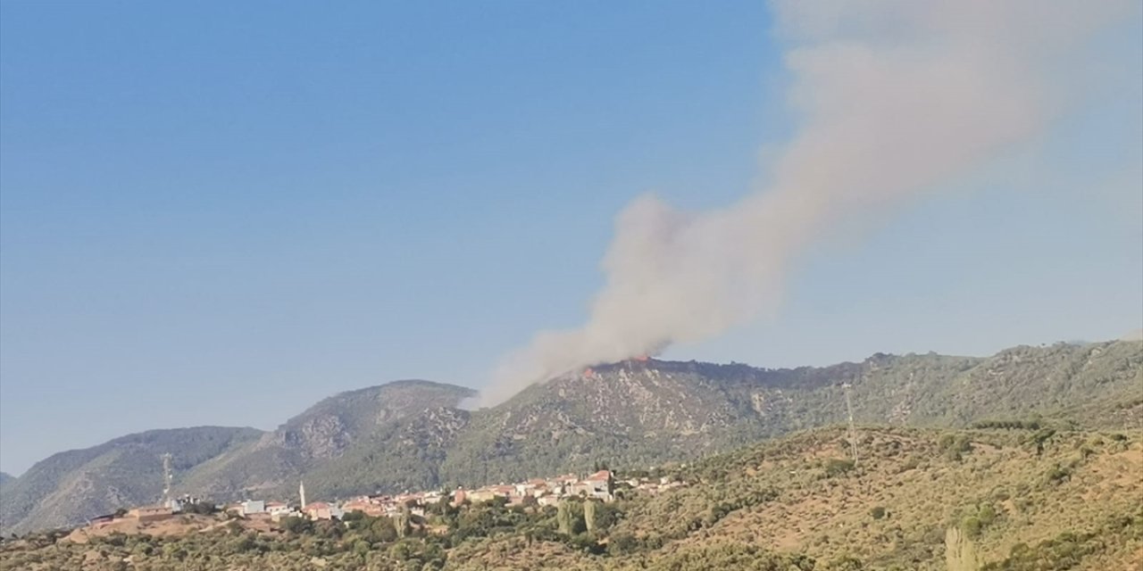 Milas'ta ormanlık alanda çıkan yangına müdahale ediliyor