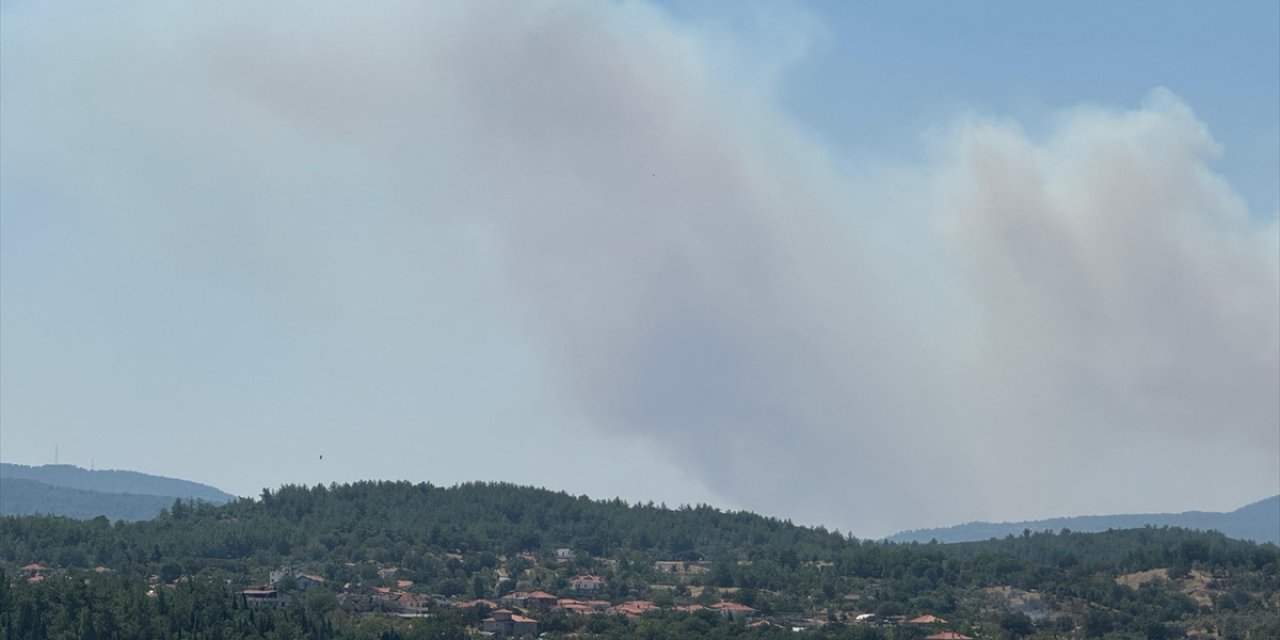 Muğla'da çıkan orman yangınına müdahale ediliyor