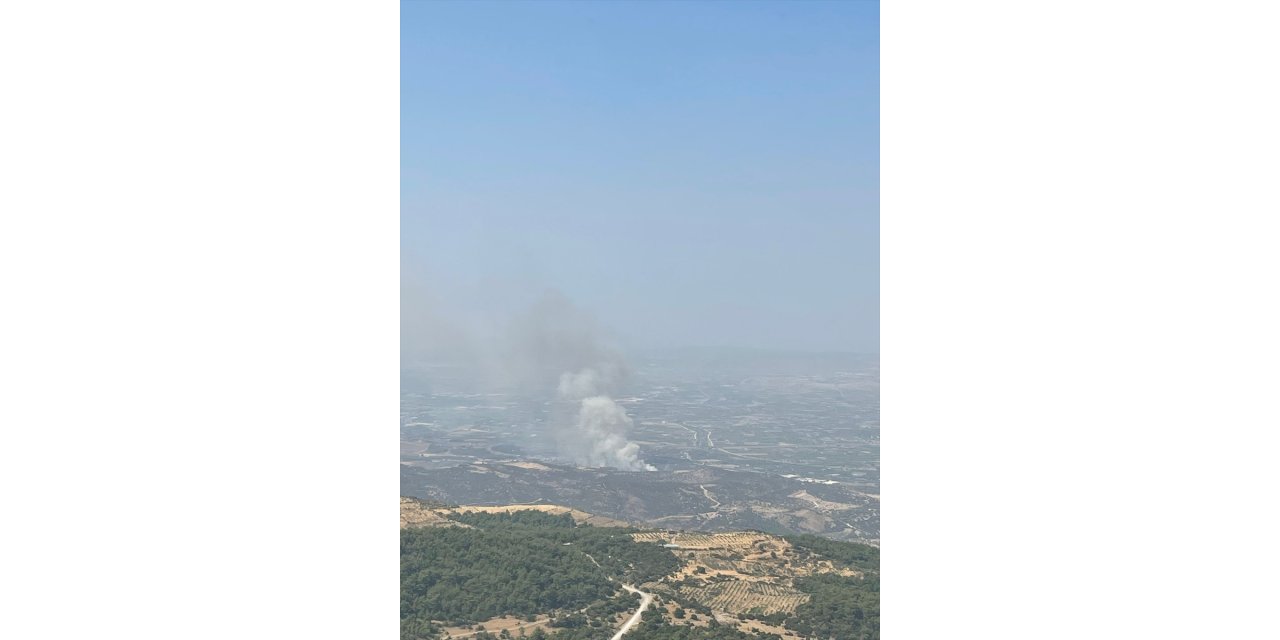 İzmir'in Menemen ilçesinde çıkan orman yangınına müdahale ediliyor