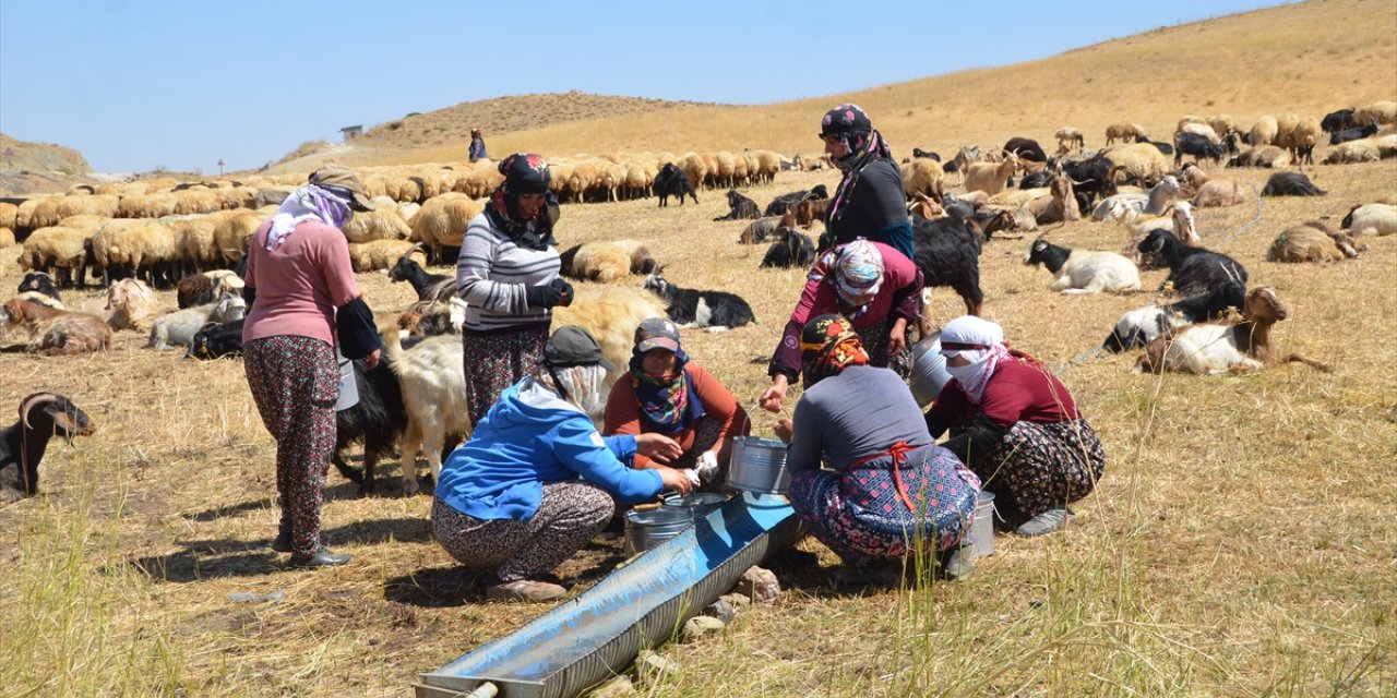 Yüksekova'da berivanlar yaptıkları ürünleri satarak aile bütçelerine katkıda bulunuyor