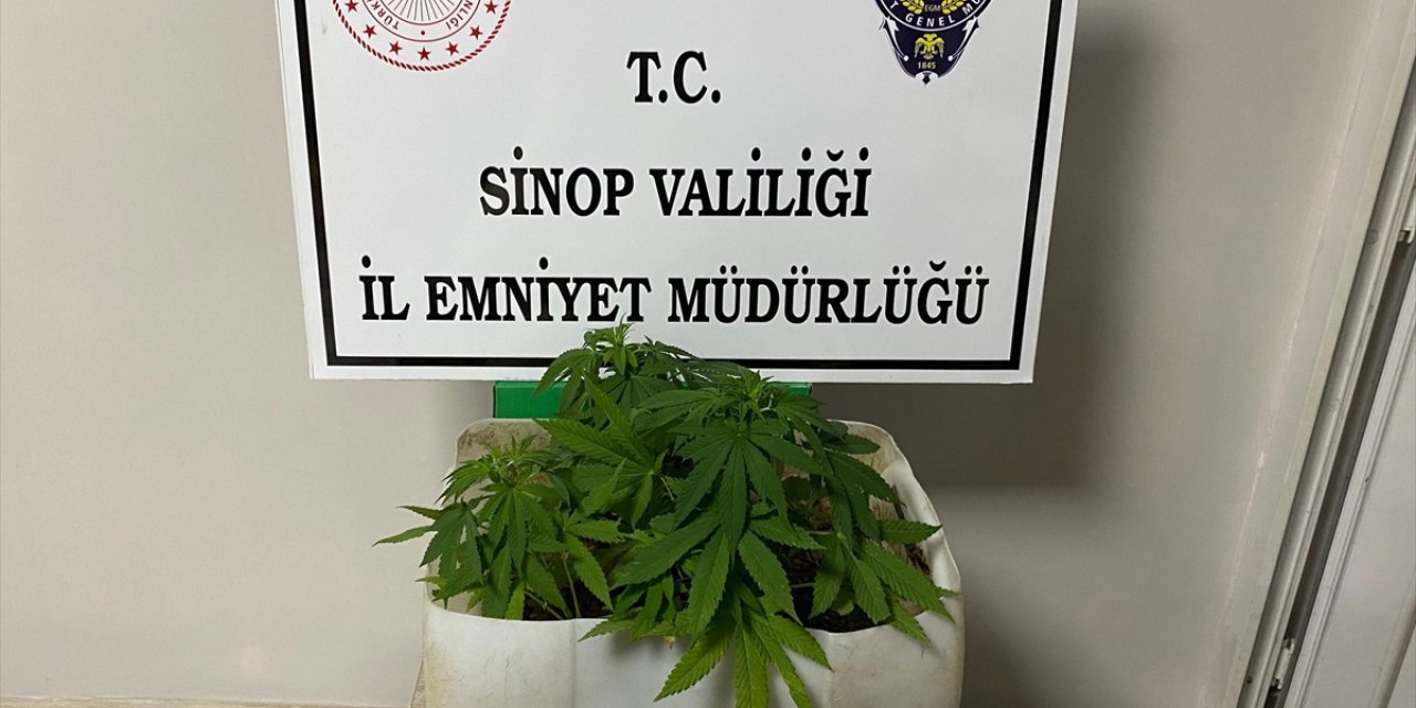 Sinop'ta düzenlenen uyuşturucu operasyonunda 2 kişi tutuklandı