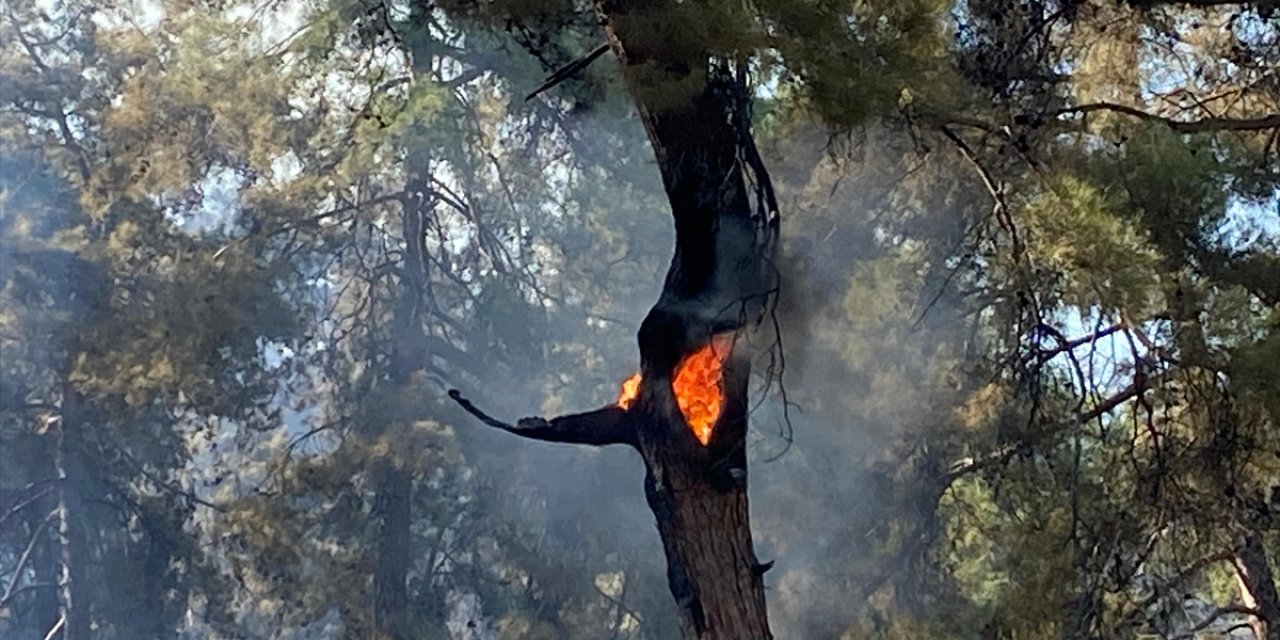 GÜNCELLEME - Antalya'nın Kaş ilçesinde çıkan orman yangınına müdahale ediliyor