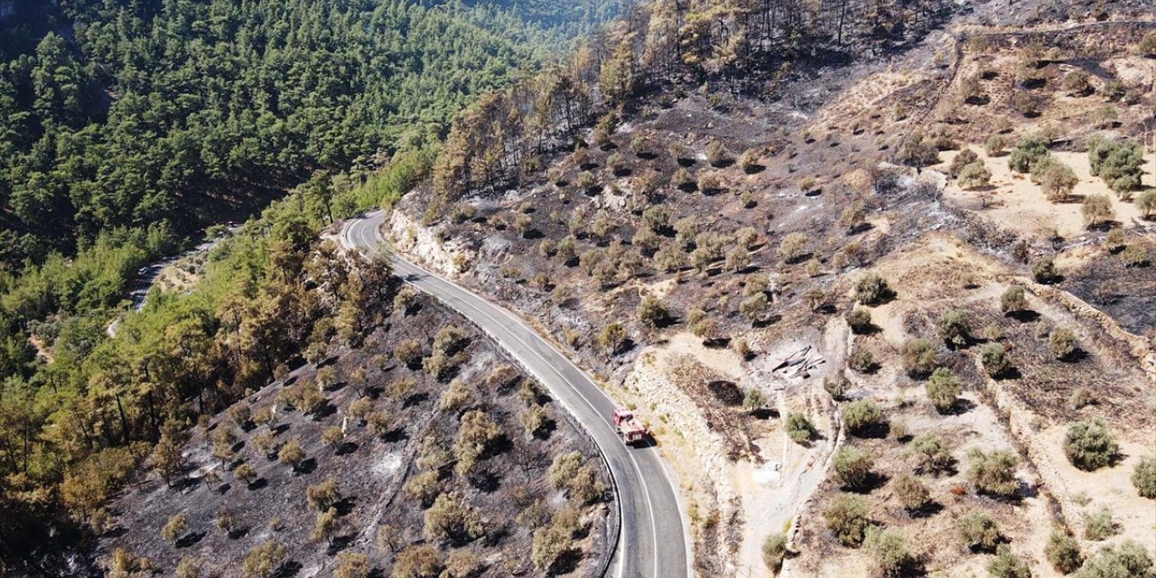 Muğla'da çıkan orman yangınına müdahale sürüyor