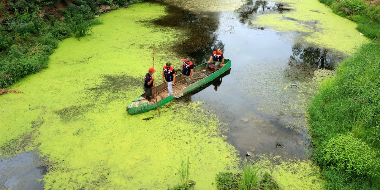 Tarihi rıhtımın ortaya çıkarılması için akış yönü değiştirilen Tunca Nehri'nde balığa rastlanmadı