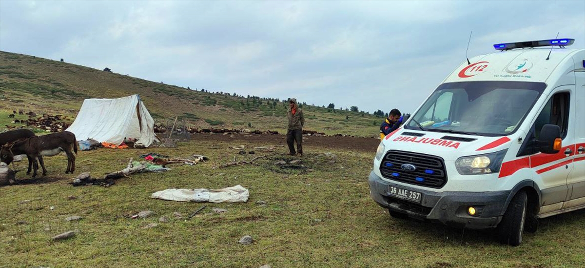 Kars'ta yıldırım düşmesi nedeniyle 2 çoban hafif yaralandı