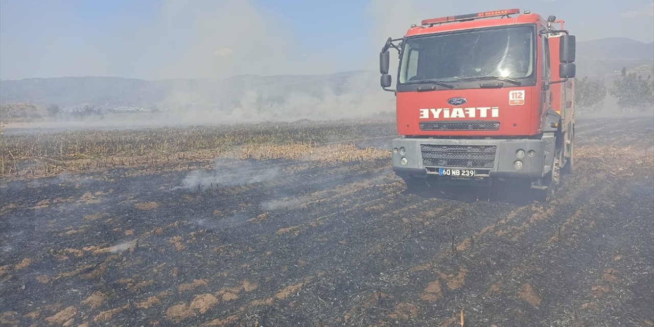 Tokat'ta çıkan anız yangınında 25 dönümlük alan zarar gördü