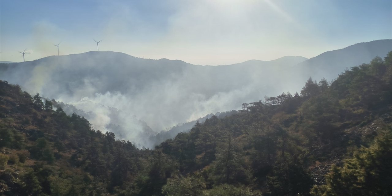 GÜNCELLEME - Hatay'da ormanlık alandaki yangına müdahale ediliyor